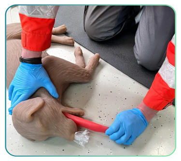 Erler Zimmer Veterinary