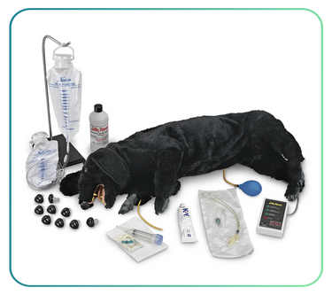 Life/Form Veterinary
