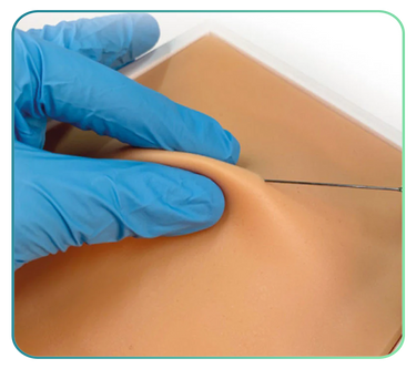 Exotic and Other Animal Clinical Skills