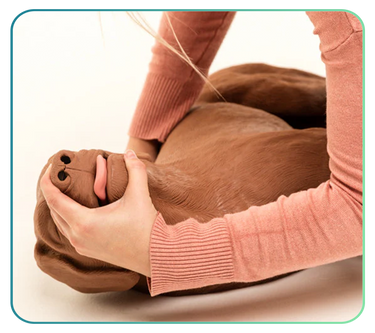 Simulaids Veterinary