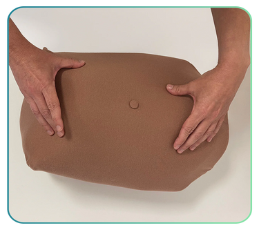 Abdominal Palpation Training Models