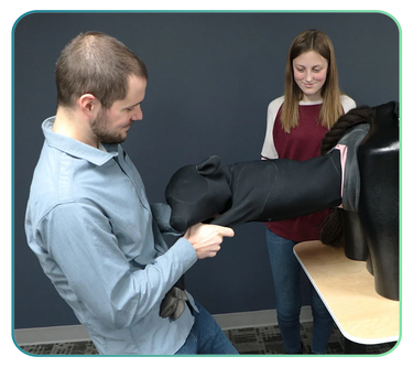Bovine Simulators and Clinical Skills Training Models