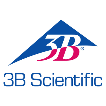 3B Scientific