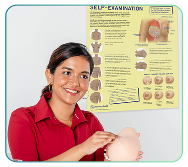 Breast & Testicle Health Posters