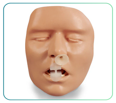 Buccal Injection Trainers