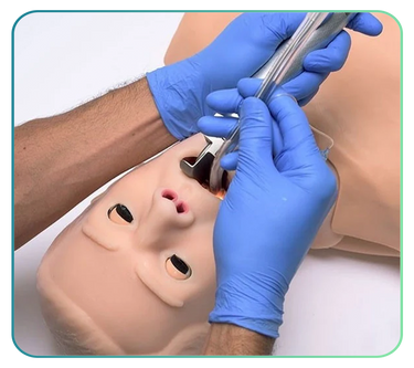 Basic Life Support Trainers and Manikins