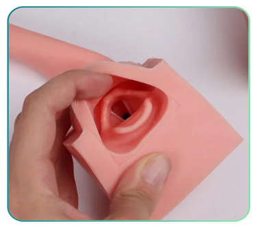 Bowel Care / Enema Clinical Skills Trainers