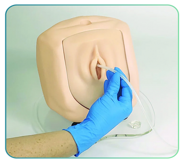 Catheterisation Clinical Skills Trainers