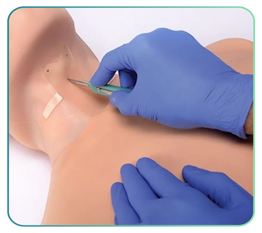 Cricothyrotomy Trainers