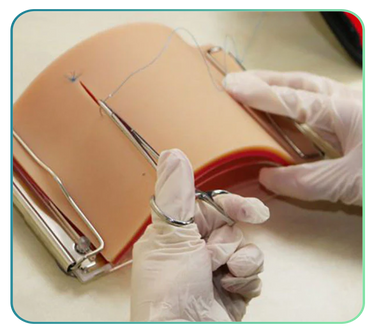 Suture Training Kits and Models