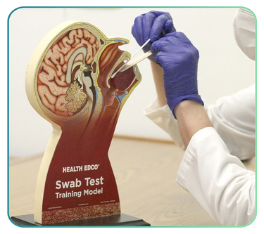 Coronavirus (COVID-19) Trainers