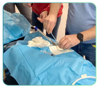 CVC, PICC and VAD Trainers