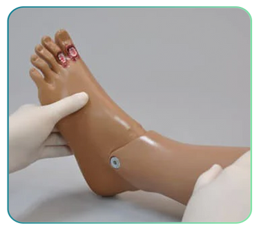 Diabetic Foot Ulcer Trainers
