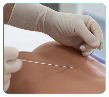 Epidural Injection Trainers