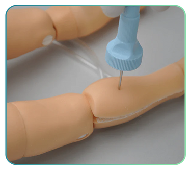 Intraosseous Infusion Trainers