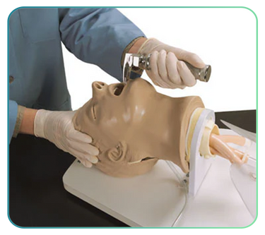 Intubation Training Models