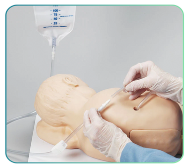 Lumbar Puncture Trainers