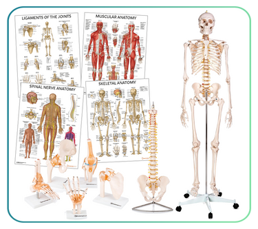 Money-Saving Model & Chart Collections