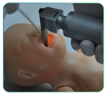 Premature Baby Care Training Models