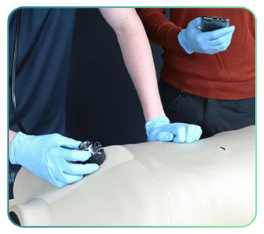 Special Offers of Anatomy Models and Posters