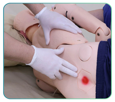 Geriatric Patient Simulators