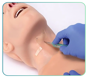 Tracheostomy Trainers