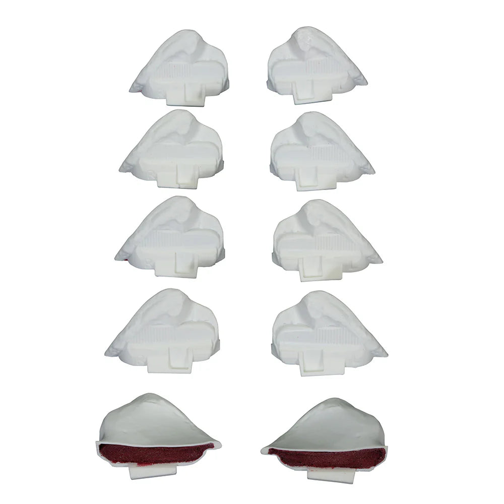 Replacement Right And Left Posterior Illiac Crests For Bonnie Bone Marrow Biopsy Skills Trainer (5 sets)