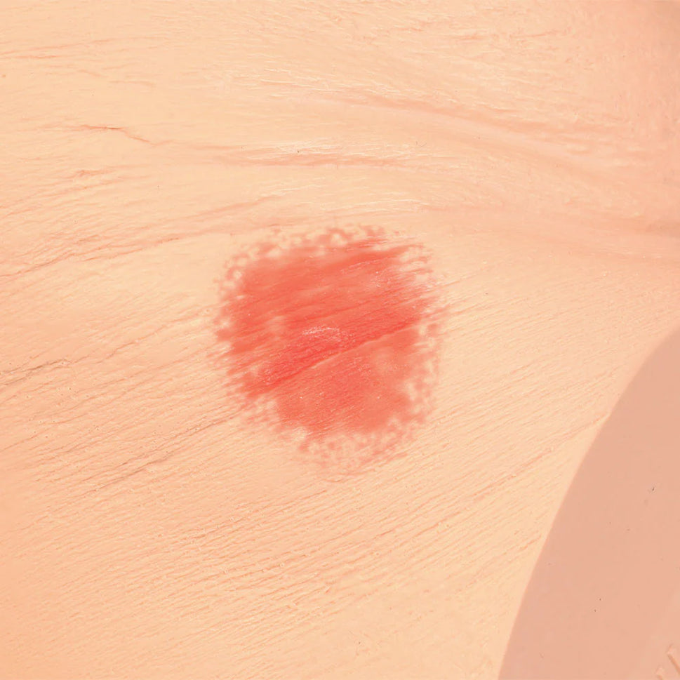 Seymour II Wound Care Simulator