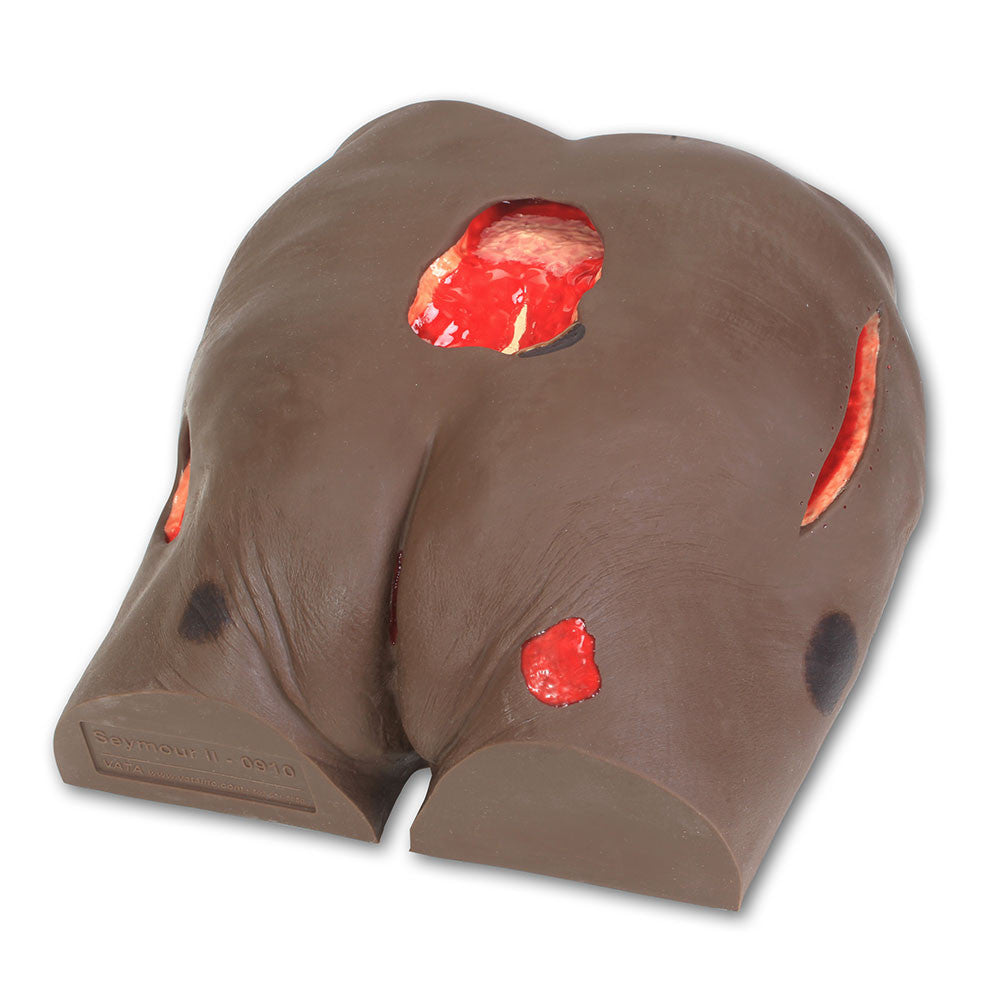 Seymour II Wound Care Simulator