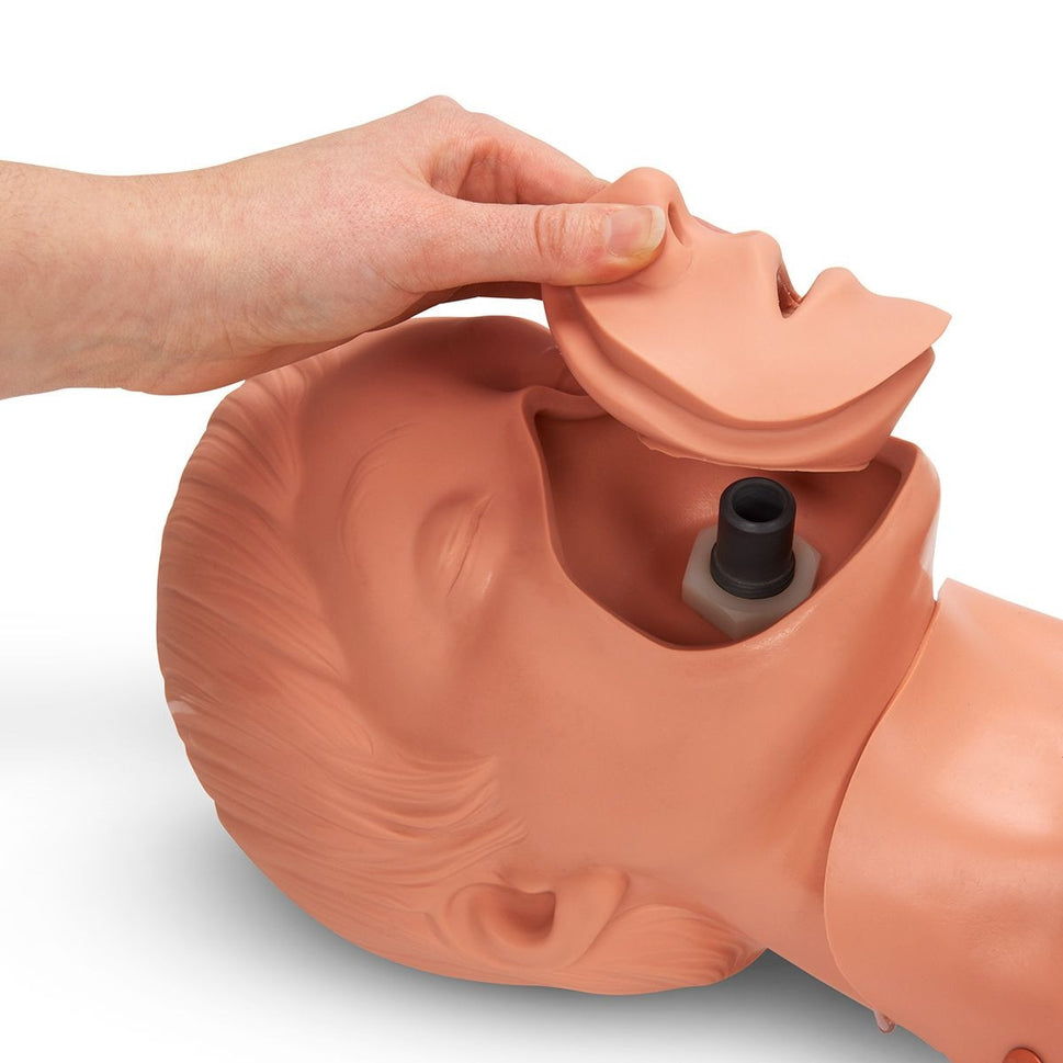 Adam Adult CPR & Defibrillation Manikin with Electronics