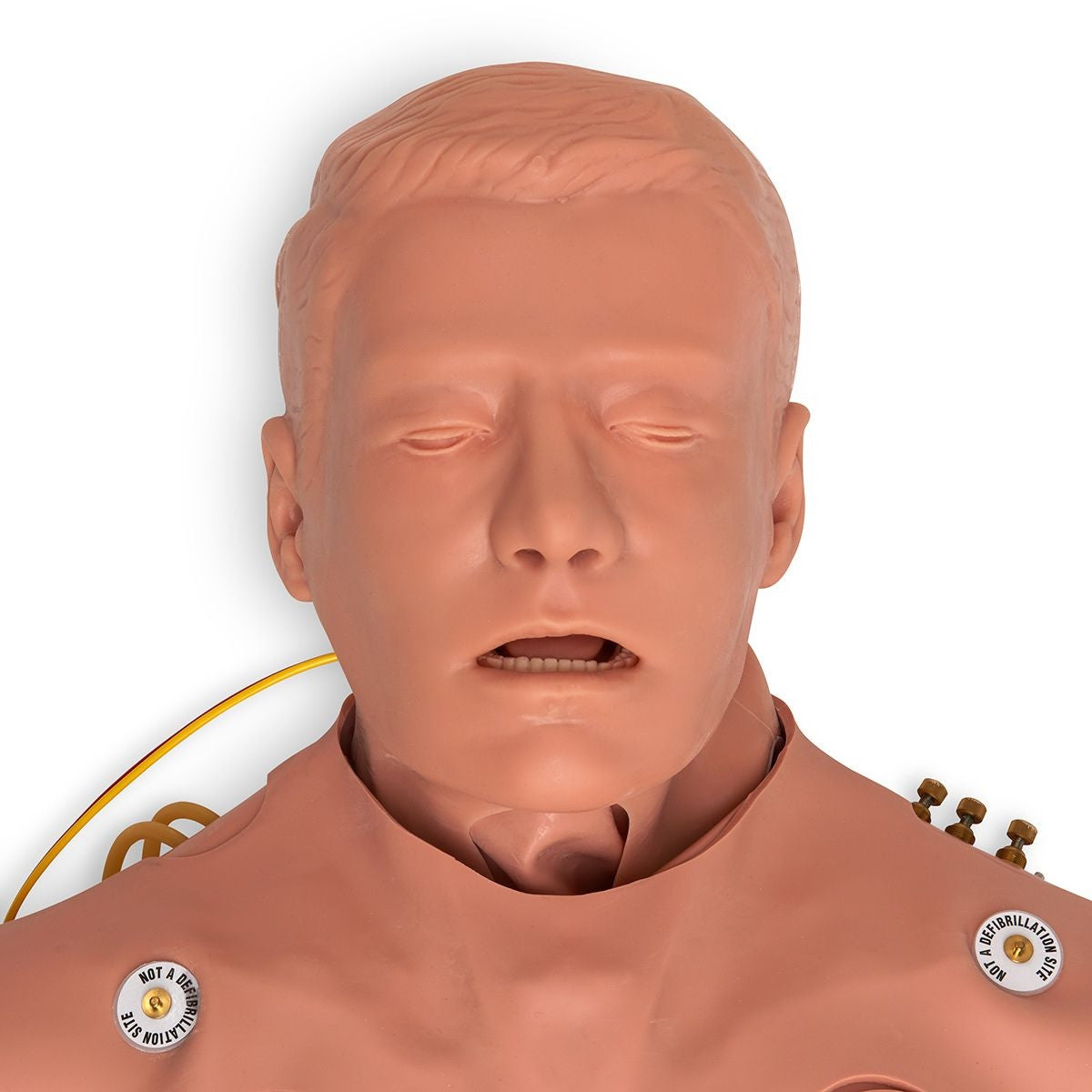 STAT Adult ALS Manikin with Deluxe Airway Management Head