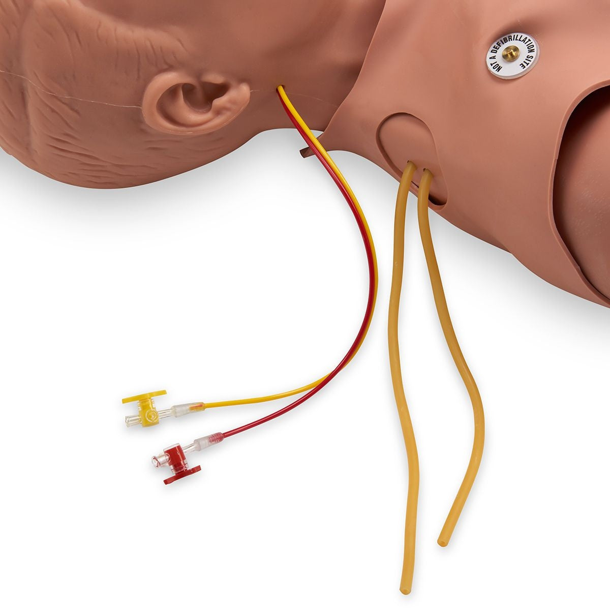 STAT Adult ALS Manikin with Deluxe Airway Management Head