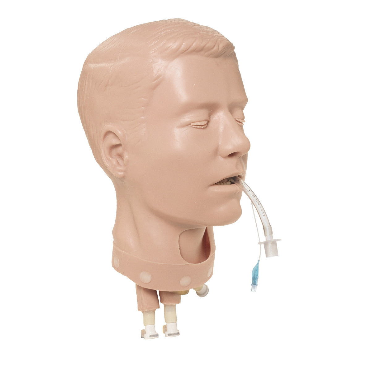 Adult Deluxe Airway Management Head