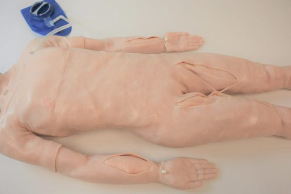 Torso of the SynDaver "SynTissue" Mortuary Model