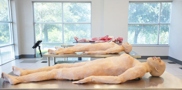 Syndaver Hybrid Surgical Model