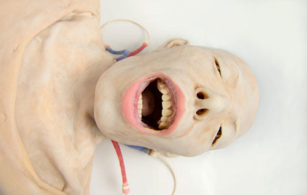 Syndaver Hybrid Surgical Model