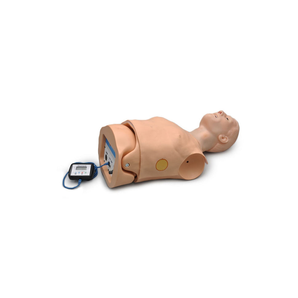 HAL Adult CPR+D Skills Trainer Torso