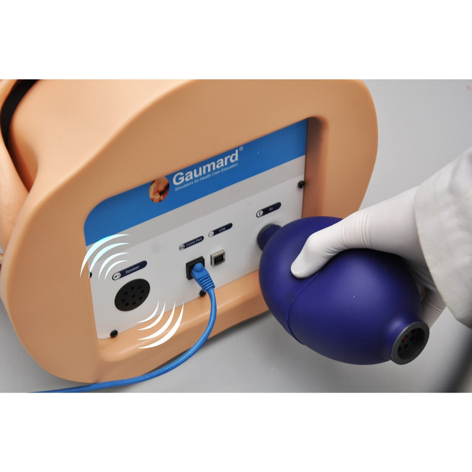 HAL Adult CPR+D Skills Trainer Torso