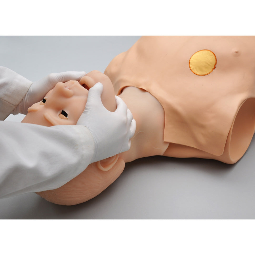 HAL Adult CPR+D Skills Trainer Torso