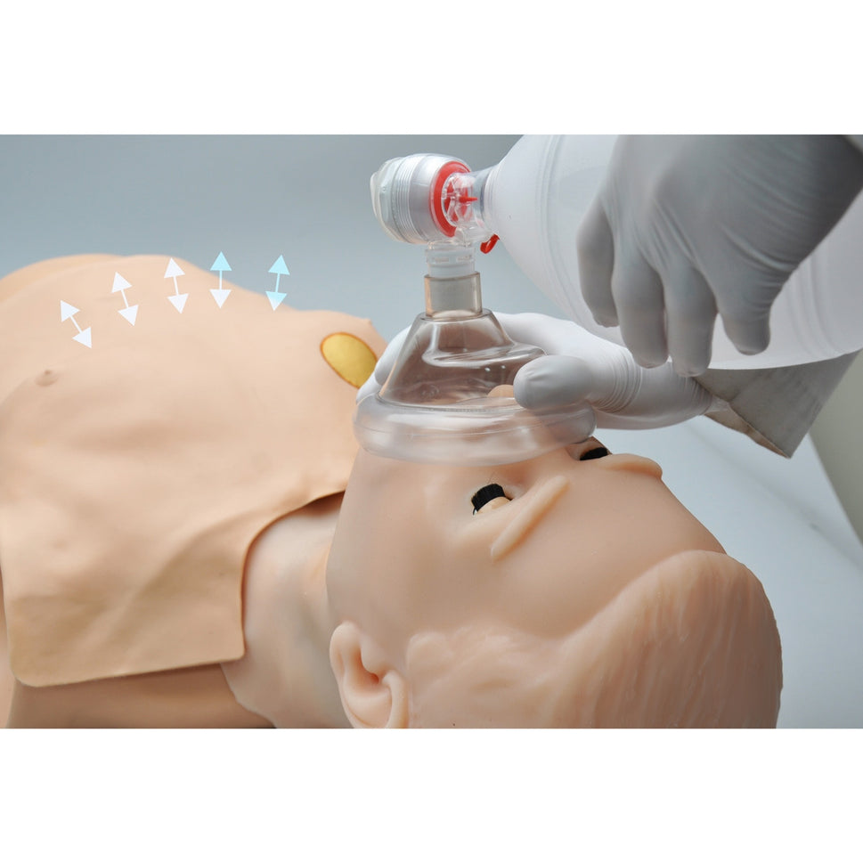 HAL Adult CPR+D Skills Trainer Torso