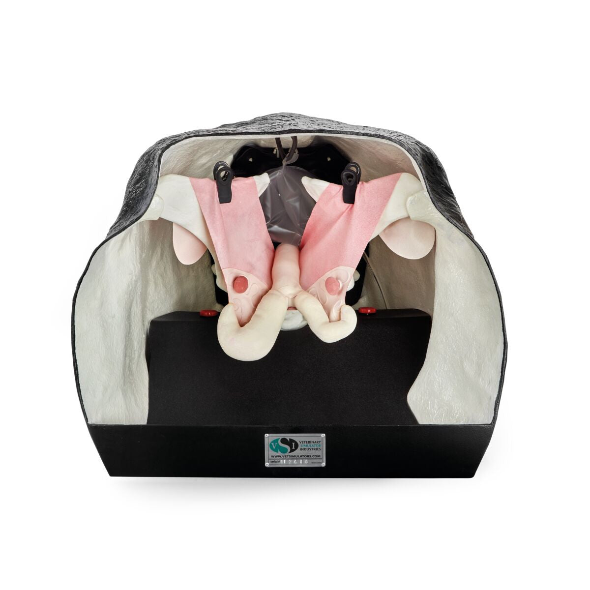 Bovine Theriogenology Model 1025491