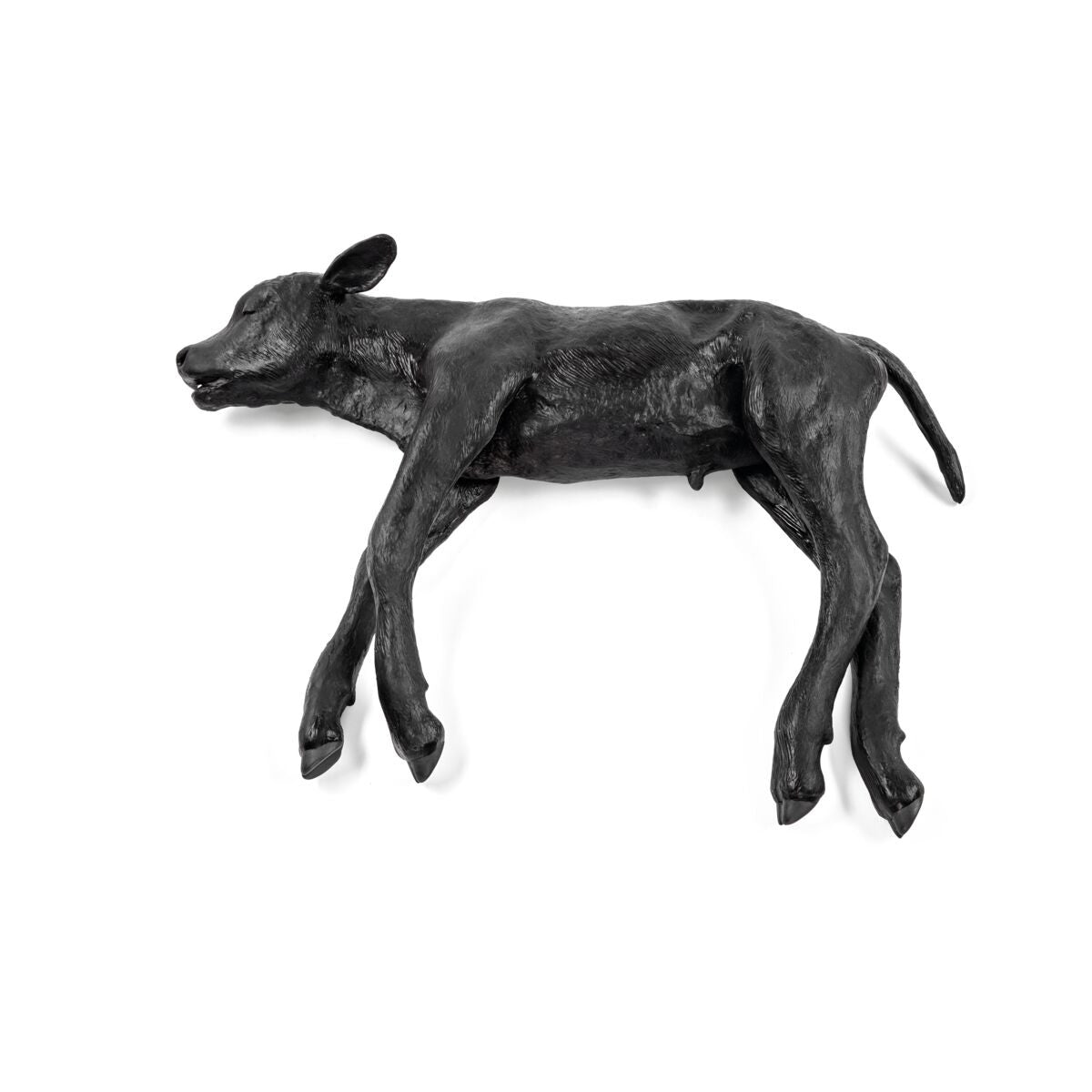 1025511 Black Angus Dystocia Calf Model