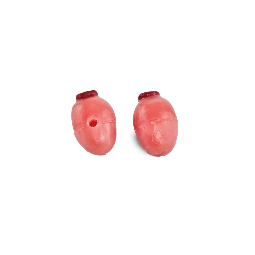 Bovine Ovaries Set