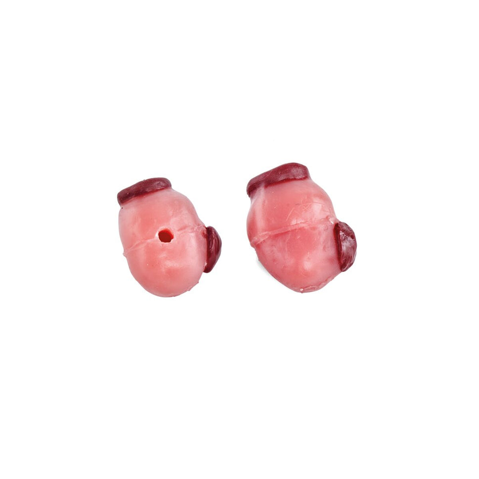 Bovine Ovaries Set