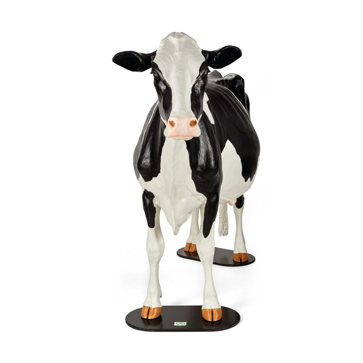Holstein Model Dystocia Simulator