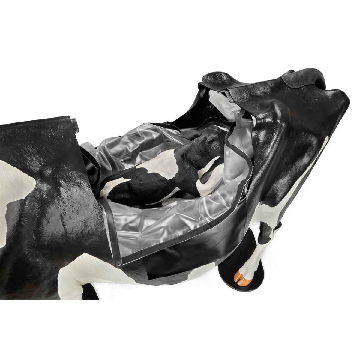 Holstein Model Dystocia Simulator