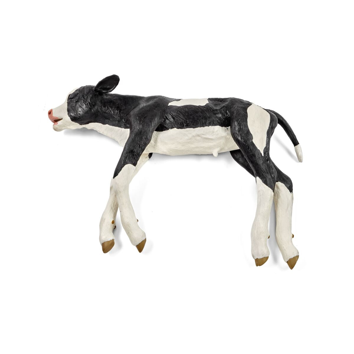 Dystocia Calf Model