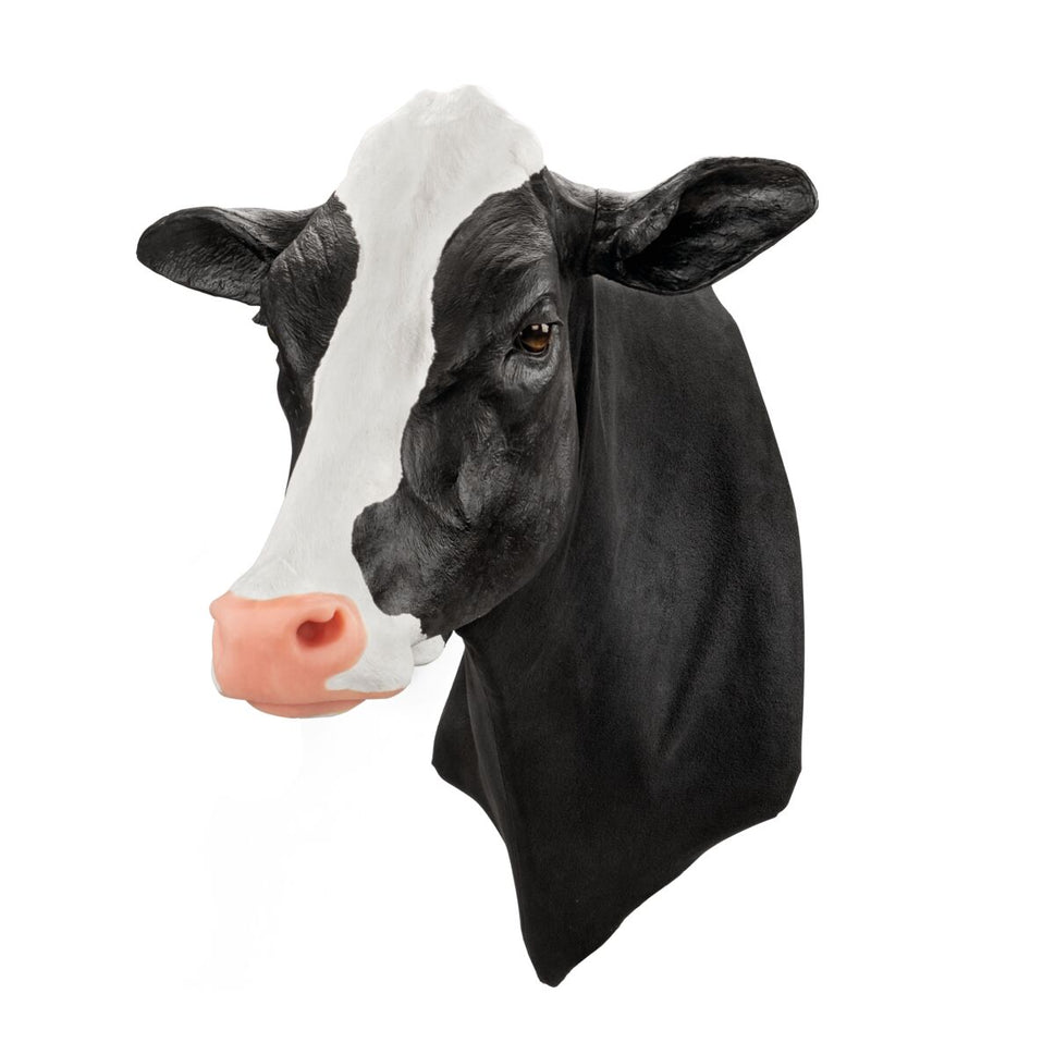 Bovine Venepuncture and Intramuscular Injection Simulator