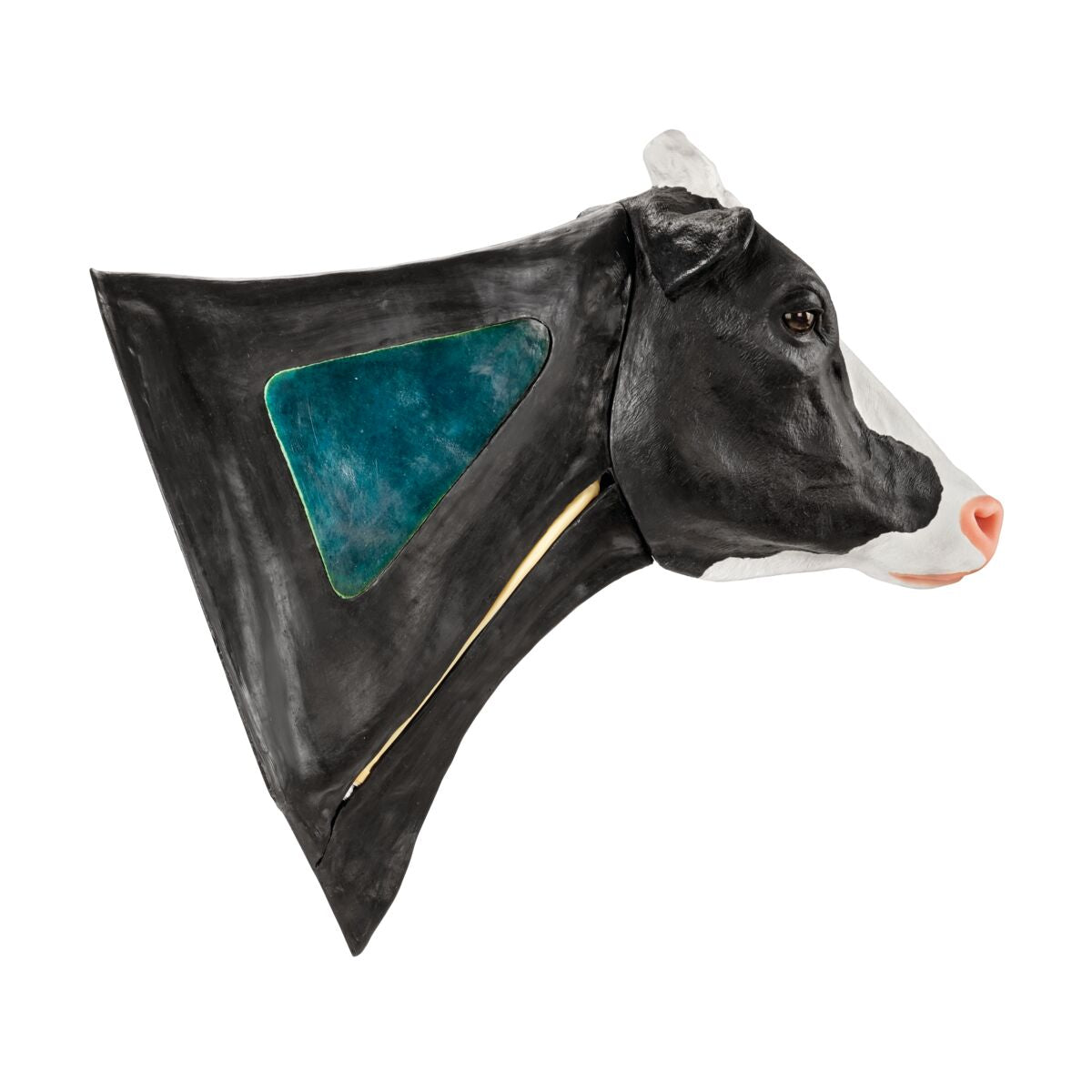 Bovine Venepuncture and Intramuscular Injection Simulator