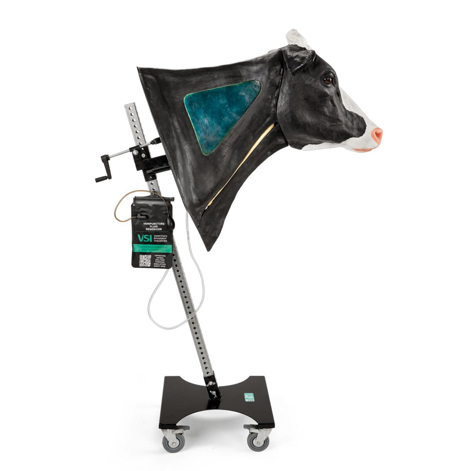 Bovine Venepuncture and Intramuscular Injection Simulator